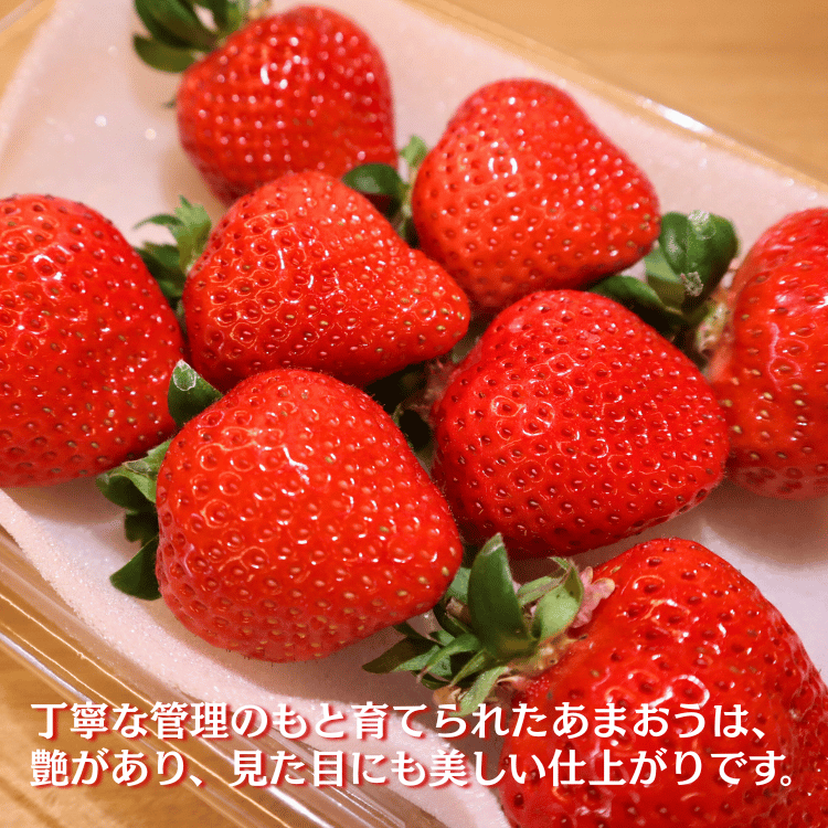 水上ファームの宗像産あまおう 味わい重視・たっぷり約300g（6～15粒
